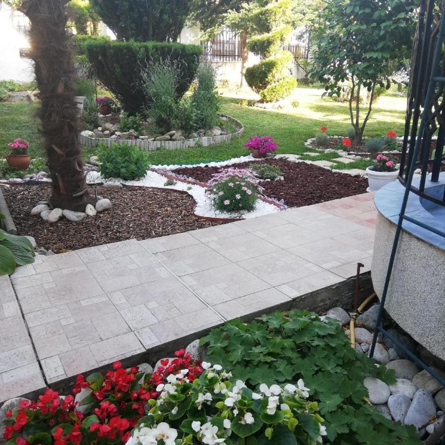 Albatros 2 Family Hotel Китен Екстер'єр фото